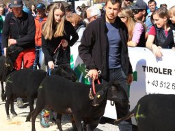 2019_ausstellung polling_299